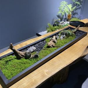 轻奢风绿植装饰桌面摆件办公桌会议室长桌微景观盆景苔藓造景包邮