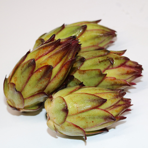 火龙果花新鲜现摘霸王花花苞菜1斤江浙沪皖满5斤包邮无添加剂