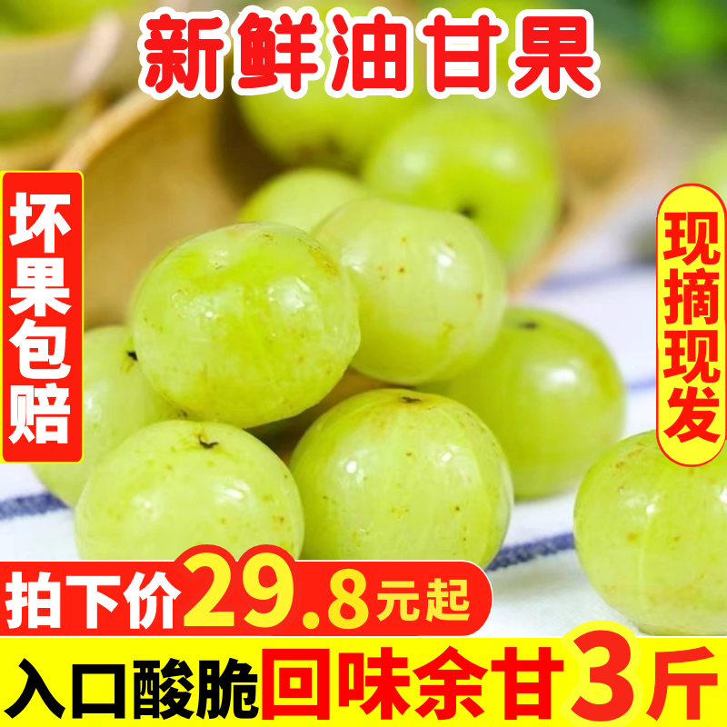 广东汕头新鲜甜油柑子果余甘果3斤油