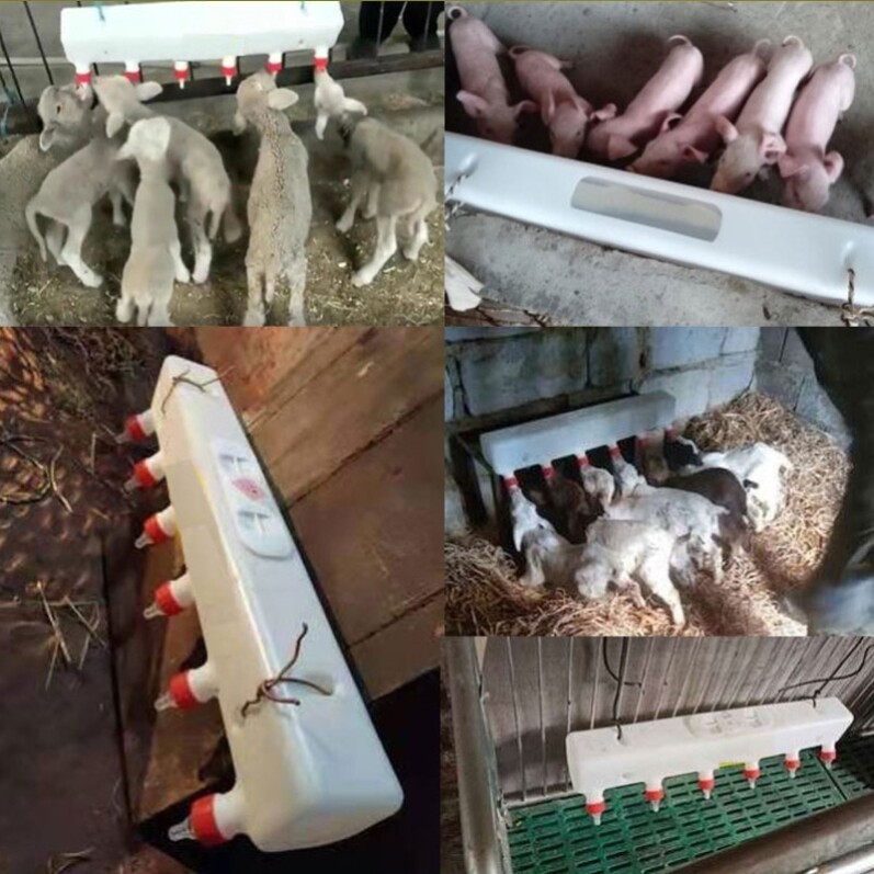 兽用吃奶器哺乳小猪奶妈机仔猪喂奶神器喂羊喂奶器哺乳小猪补奶器