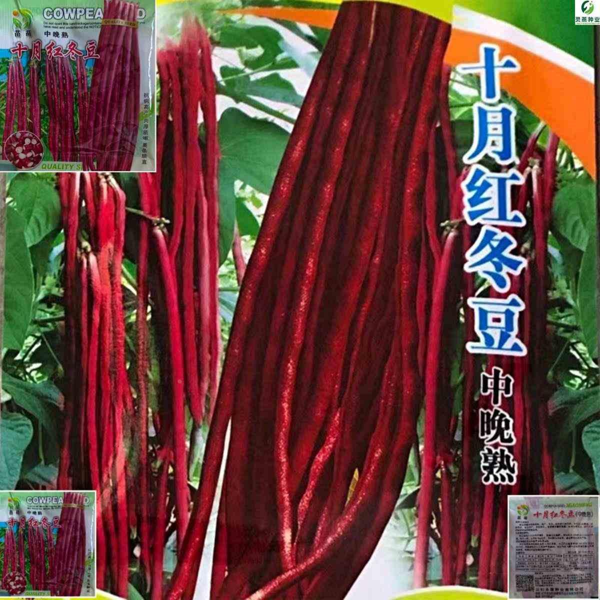 长豆角四季豆