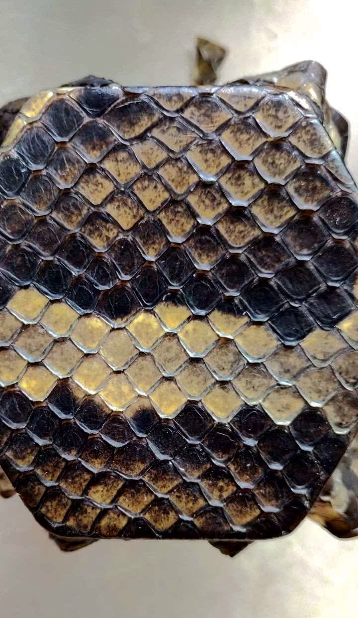 专用 金花蟒皮二胡