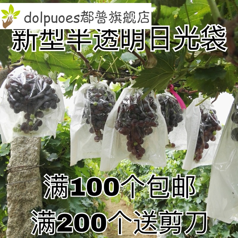葡萄套袋专用袋半透明莲雾保护防虫雨防鸟包装果袋纸袋子果树水果在类目 鲜花速递/花卉仿真/绿植园艺, 园艺用品, 其它园艺用品中 - 来自Buy2taobao.com提供专业的淘宝代购服务