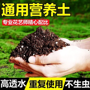 营养土养花专用通用型种菜土种植土壤种花多肉泥炭土有机肥料家用