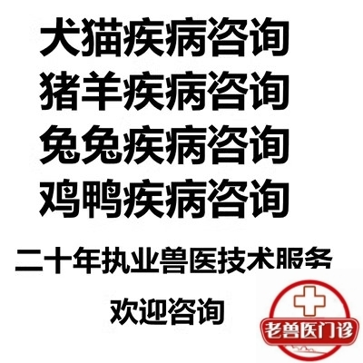 老兽医门诊犬猫兔狗狗猪羊 家禽 鸡鸭 养殖户 疾病传染病技术咨询