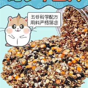 仓鼠吃的小零食五谷杂粮高蛋白幼鼠用食粮磨牙棒套装蛋白质