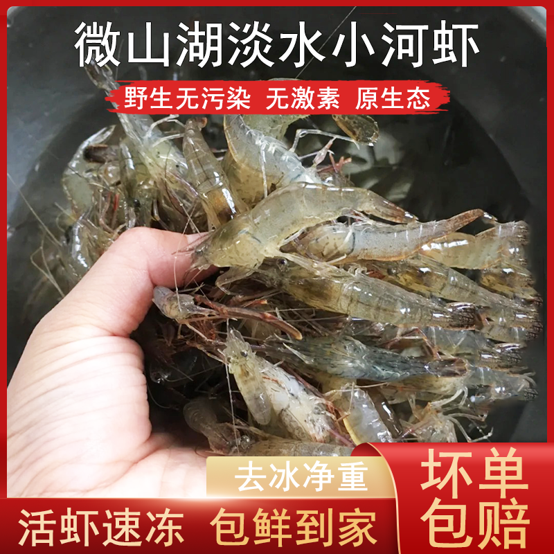 微山湖清水河虾新鲜速冻活虾冷冻鲜活