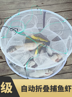 新型捕鱼笼黄鳝笼龙虾网笼虾笼鱼网捞渔网抓捕鱼神器鱼笼只进不出