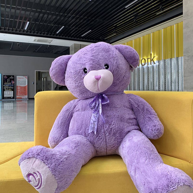 紫色大号泰迪熊图片