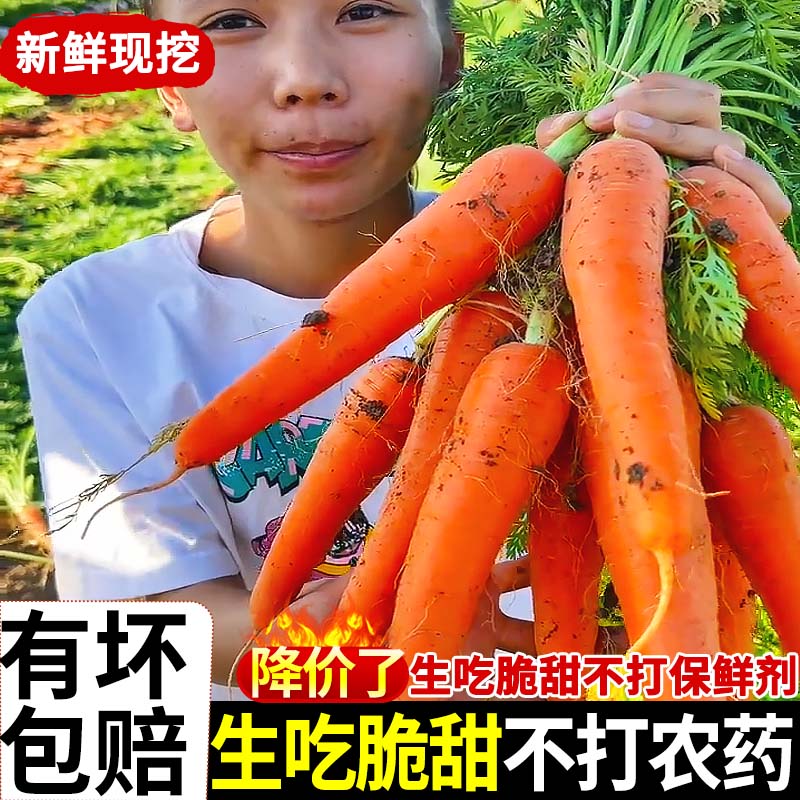 农家水果胡萝卜10斤新鲜红萝卜红皮