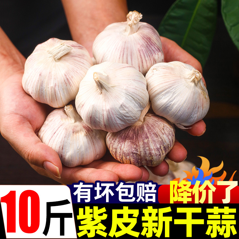 云南紫皮大蒜头10斤新干蒜大蒜农家