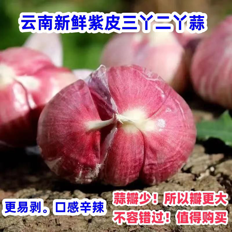 云南新鲜紫皮三丫蒜5斤农家自产大蒜