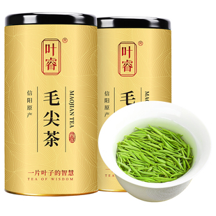 2024新茶毛尖茶叶信阳绿茶官方旗舰店明前特级嫩芽散装毛尖茶500g