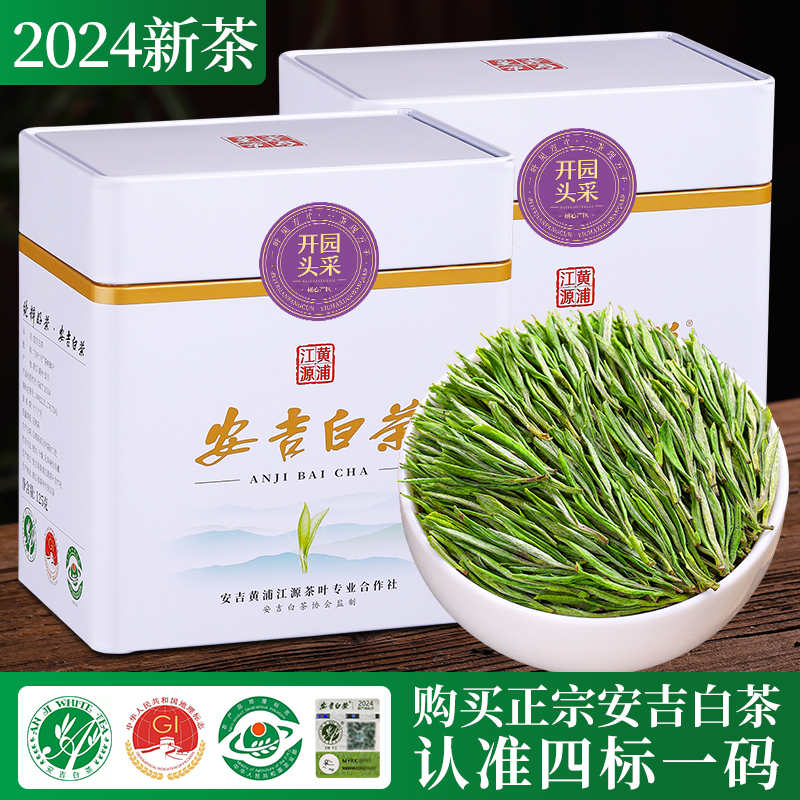 安吉白茶2024新茶特级明前开园头