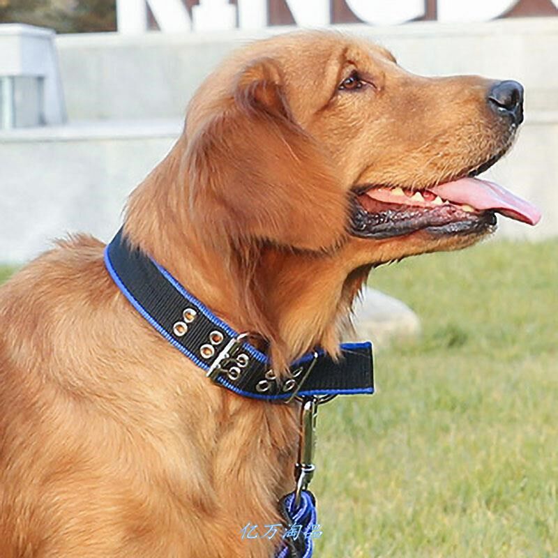 日本宠物用品金毛颈圈德牧脖套中型犬脖熠淘狗项圈大型犬遛狗