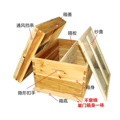 蜜蜂浸蜡标准十框杉木中蜂蜂箱全套煮蜡蜂箱平箱i巢框养蜂工具包