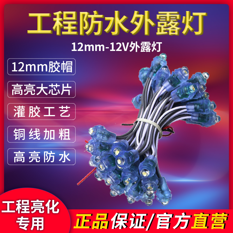 12mm12V外露灯串15防水穿孔LED点阵字红白色大点光源招牌门头发光