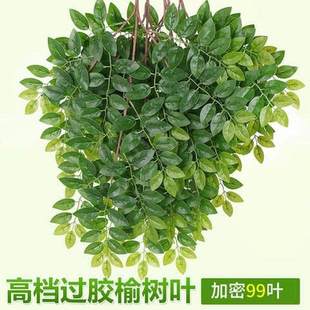 仿真榆树叶手感过胶塑料榆树支绿色植植物叶子假树枝工程装饰造型