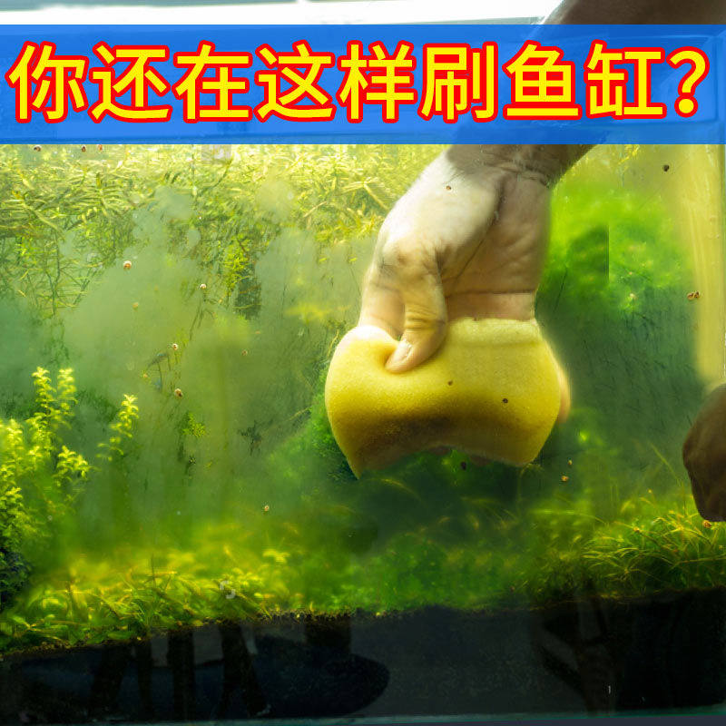 鱼缸刷子清洁长柄清洗神器刮藻刀清理内壁青苔无死角擦洗玻璃工具