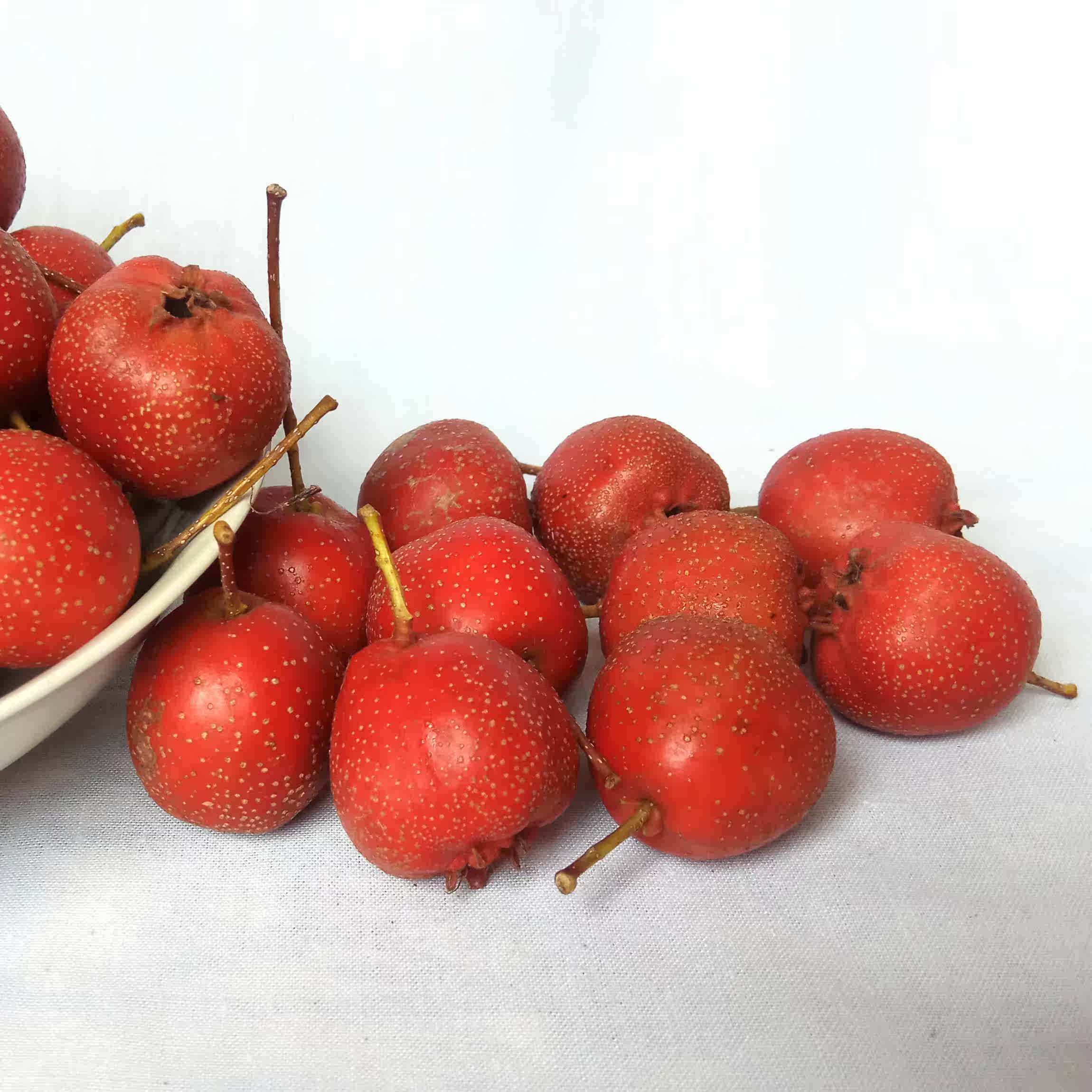 特价山楂果 新鲜大五棱_生大山楂果新鲜水果5斤特级铁山楂冰糖葫芦大