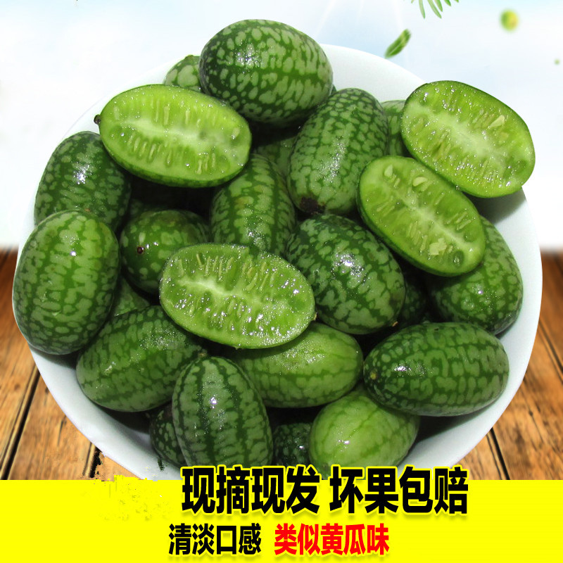 特色拇指西瓜 迷你绿瓤小西瓜 新鲜孕妇水果现摘包邮净重125g在类目 水产肉类/新鲜蔬果/熟食, 新鲜水果, 其它中 - 来自Buy2taobao.com提供专业的淘宝代购服务
