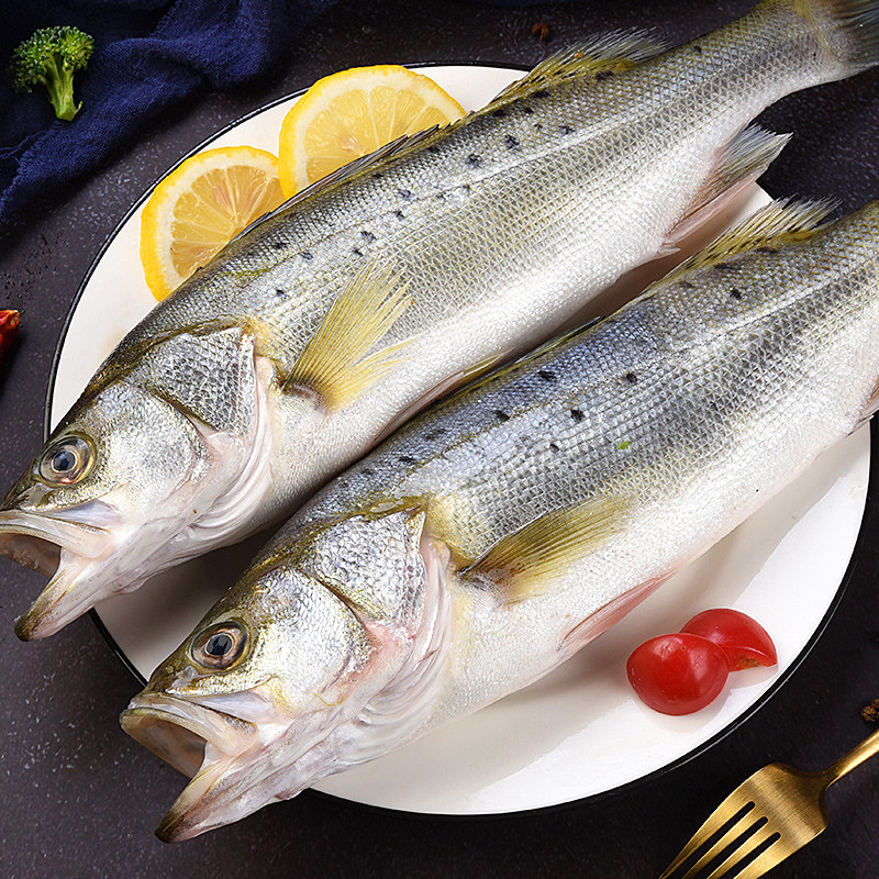 食邦人新鲜海鲈鱼七星鲈鱼冷冻冰鲜深海水产生鲜5斤装共4-5条顺丰
