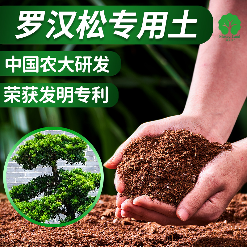 罗汉松专用土专用营养土专用肥料中国