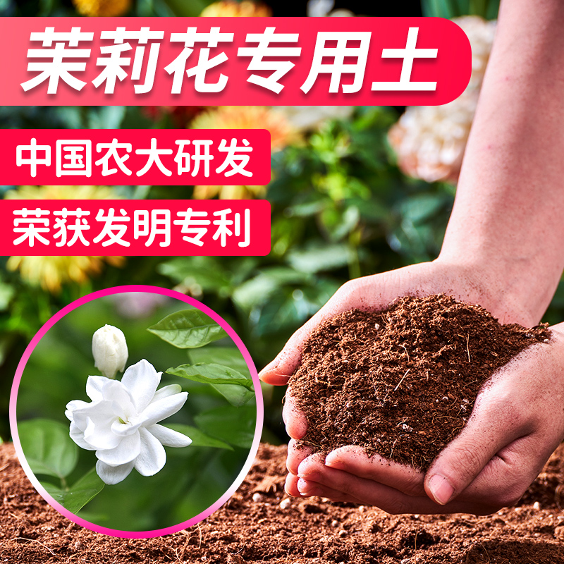 茉莉花专用土茉莉花土盆栽专用土营养