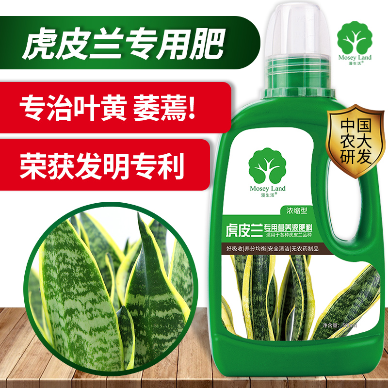 虎皮兰营养液虎皮兰专用肥料虎皮兰专