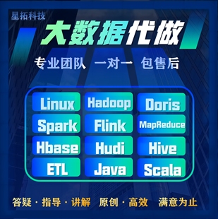 spark大数据flink程序编写hadoop代做java开发hive数据分析python