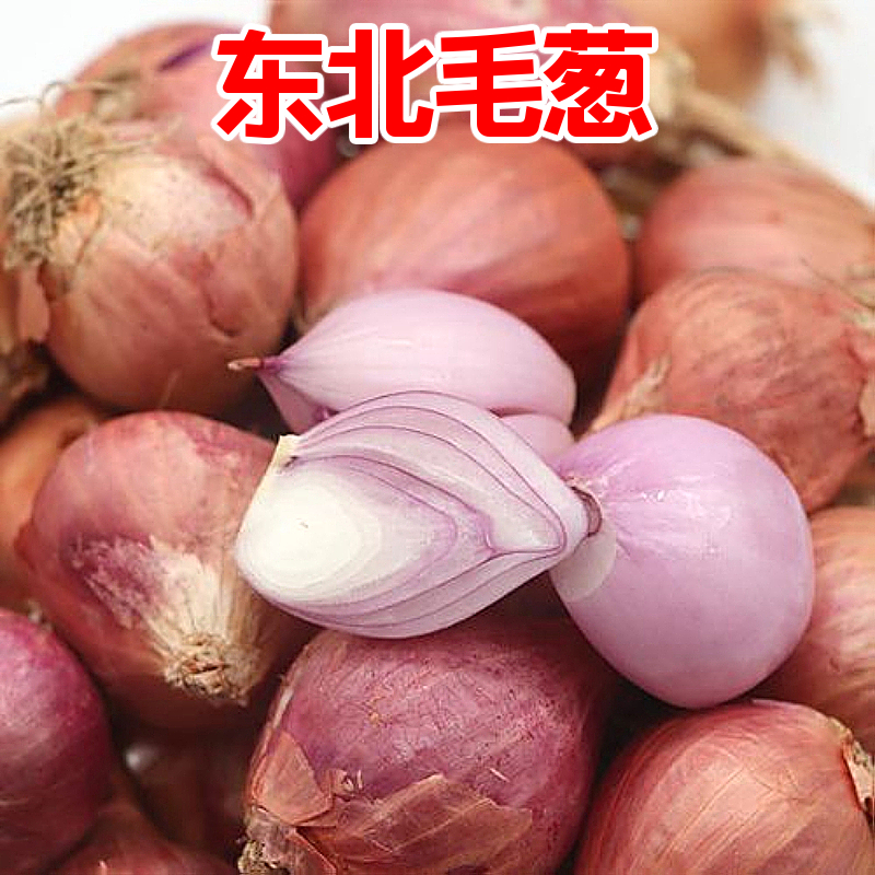 东北毛葱新鲜5斤包邮当应季小圆葱红葱头鬼子葱小洋葱干葱头生吃在类目 水产肉类/新鲜蔬果/熟食, 新鲜蔬菜/蔬菜制品, 新鲜蔬菜, 洋葱中 - 来自Buy2taobao.com提供专业的淘宝代购服务