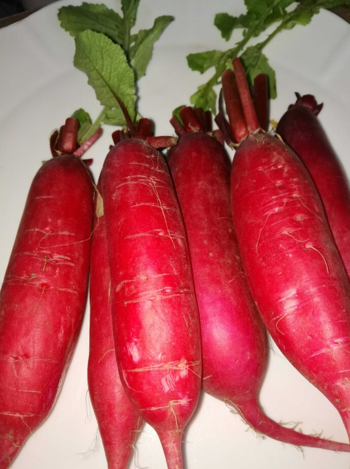 新鲜蔬菜红皮白心白肉水萝卜泡菜萝卜泡菜胭脂萝卜整箱5斤包邮