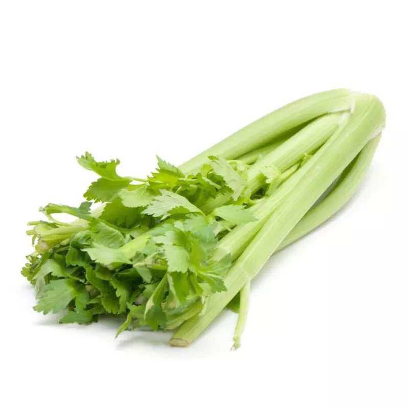 新鲜蔬菜西芹洋芹菜粗芹菜西洋芹小芹菜榨汁净重5斤包邮