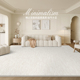 地毯客厅2024新款免洗可擦奶油风圈绒轻奢高级纯色法式简约沙发毯