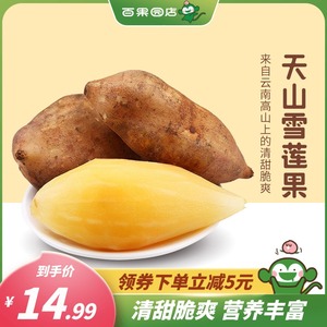 【百果园店】云南天山雪莲果3斤当季新鲜水果红心红泥沙现摘nc