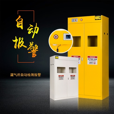 钢制气瓶柜煤气液化气体防爆柜工业单双三瓶智能报警器安全储存.
