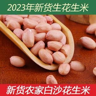 2023年新货花生米生新鲜花生特级榨油大颗粒粉红皮大粒花生仁种