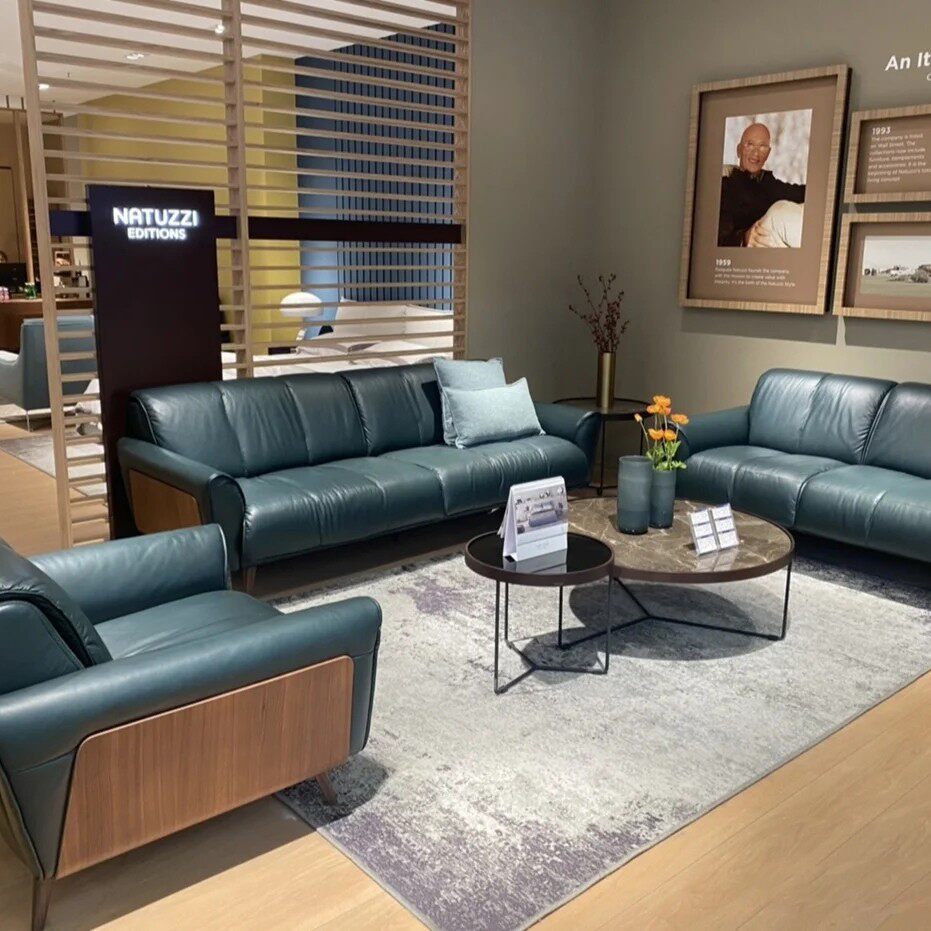 纳图兹意迪森沙发真皮natuzzieditions意大利正品家具小云朵b993