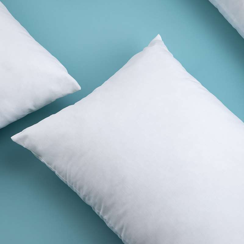 Vacuum pillow holder By Pillow Cushion cores Multi-size selectionin the Home Fabric , Pillow/Pillow category - from Buy2taobao.com to provide professional Taobao agent buy service