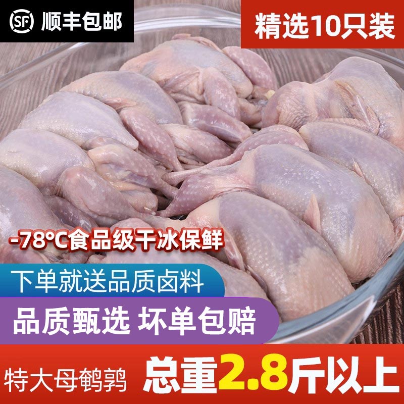 【顺丰包邮】母鹌鹑肉新鲜冷冻活体鲜