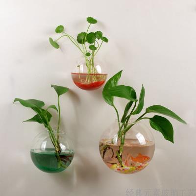 墙壁水培玻璃挂花瓶绿萝图片