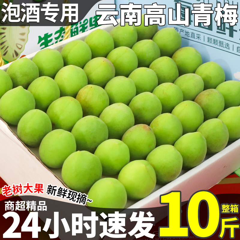 云南青梅鲜果10斤整箱泡酒专用水果