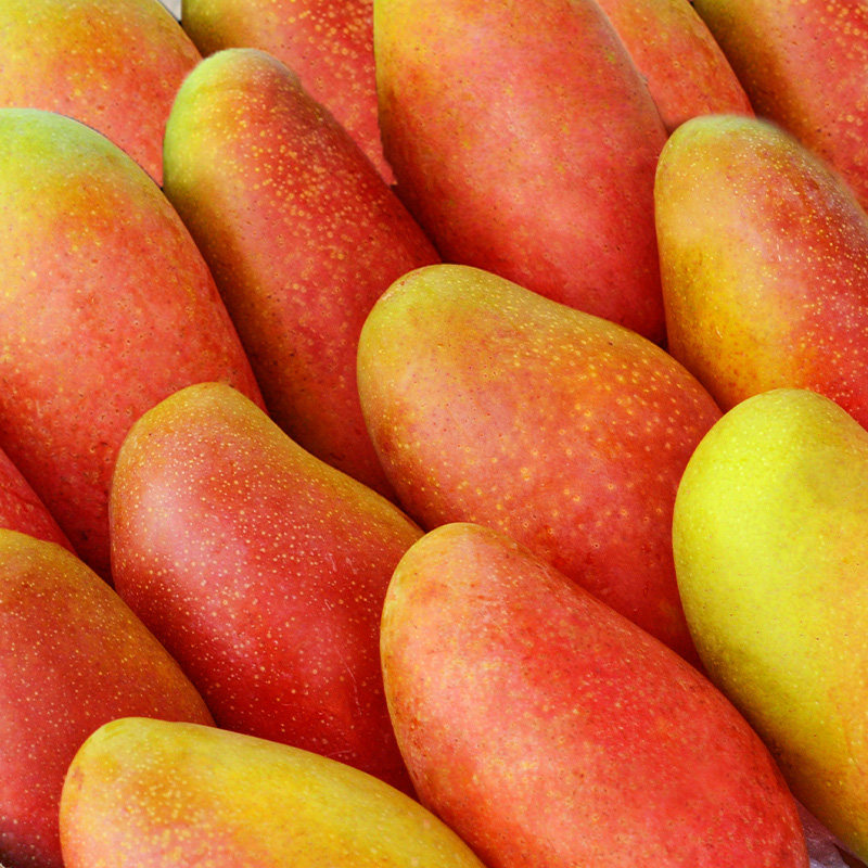 现货特大果 树上熟10斤海南贵妃芒新鲜芒果鲜果水果当季整箱包邮5