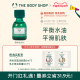 【618加购】TheBodyShop美体小铺茶树油10/20ml控油平衡调节水油