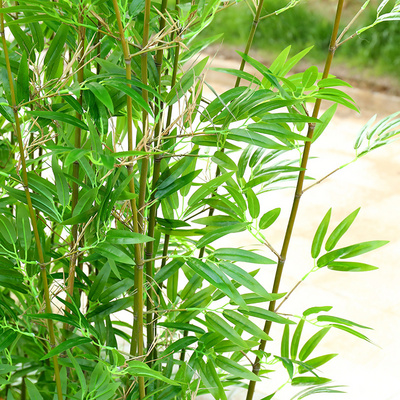 饰客厅酒店造景定制花艺馆 仿真竹子毛竹玄关底座禅意细水竹室内装