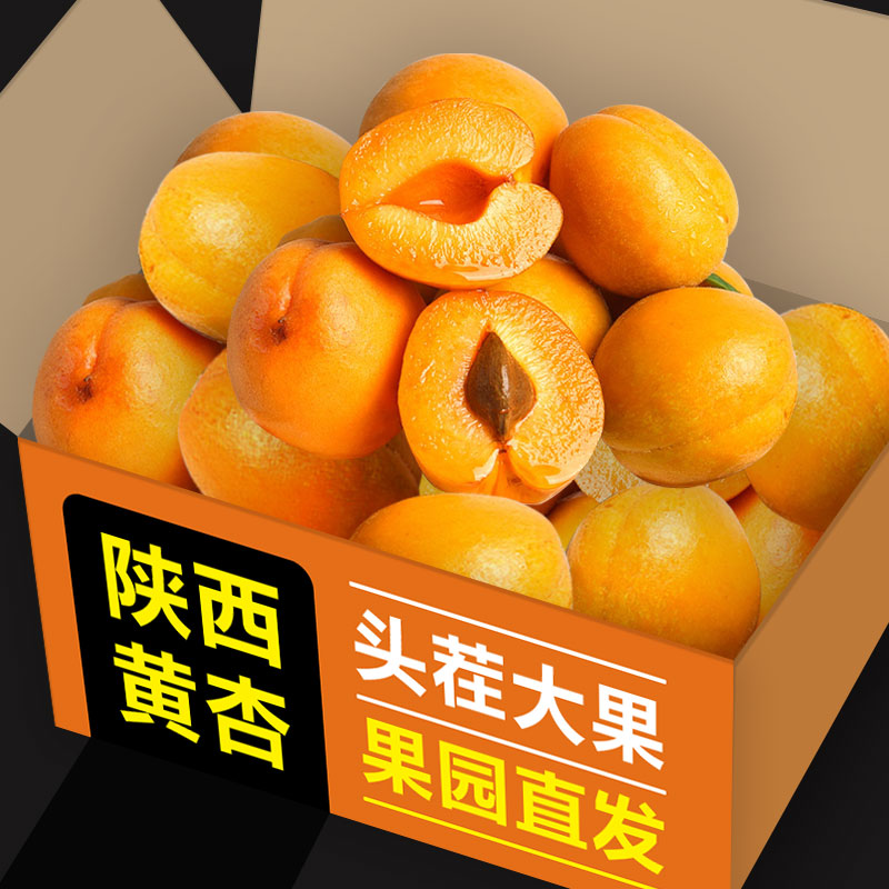 陕西金太阳大黄杏5斤新鲜水果当季孕