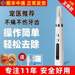 狗狗牙结石去除器宠物超声波洗牙器猫咪牙齿清洁工具神器洁牙仪机