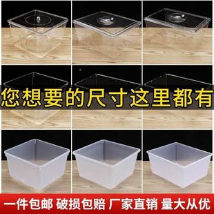 正方形塑料盒无盖冰箱保鲜盒冷冻盒收纳盒大容量加厚带盖密封盒子