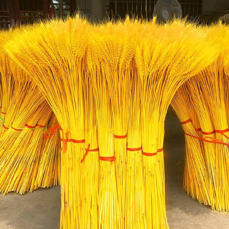 天然麦穗干花花束开业大麦客厅蛋糕房桌面麦花拍摄道具造型过年