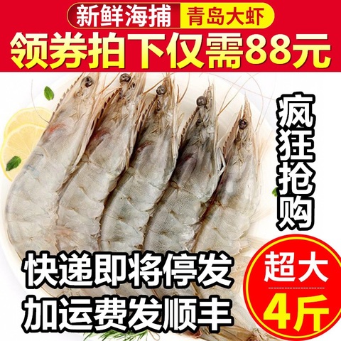 青岛海捕大虾新鲜活超大海鲜冷冻整箱速冻特大4斤包邮冰白青对虾
